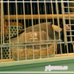 Thumbnail of related posts 120