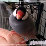 Thumbnail of new posts 007