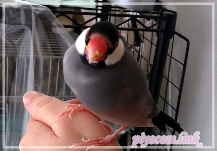 Thumbnail of post image 043