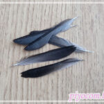 Thumbnail of new posts 031