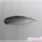 Thumbnail of new posts 100