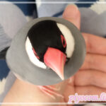 Thumbnail of new posts 192