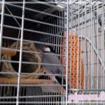 Thumbnail of new posts 019