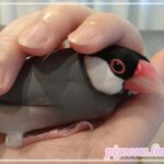 Thumbnail of new posts 174