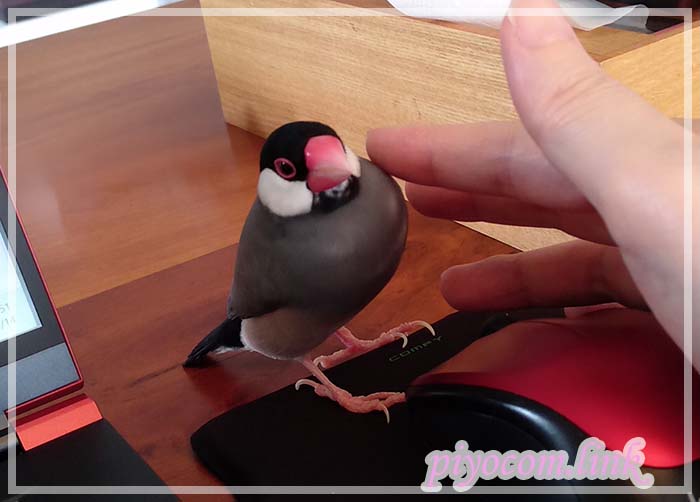 Thumbnail of post image 115