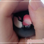 Thumbnail of related posts 121