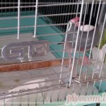 Thumbnail of new posts 067