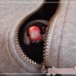 Thumbnail of new posts 056