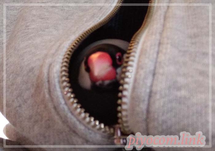 Thumbnail of post image 133