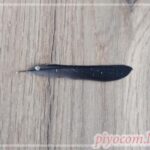 Thumbnail of new posts 034