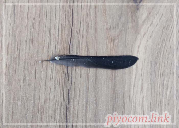 Thumbnail of post image 008