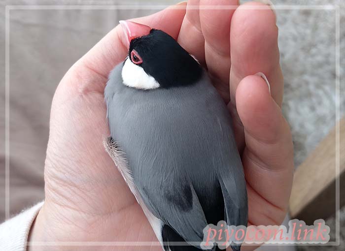 Thumbnail of post image 067