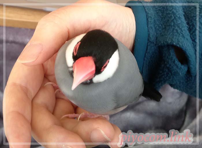 Thumbnail of post image 116