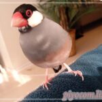 Thumbnail of new posts 080