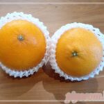 Thumbnail of new posts 035