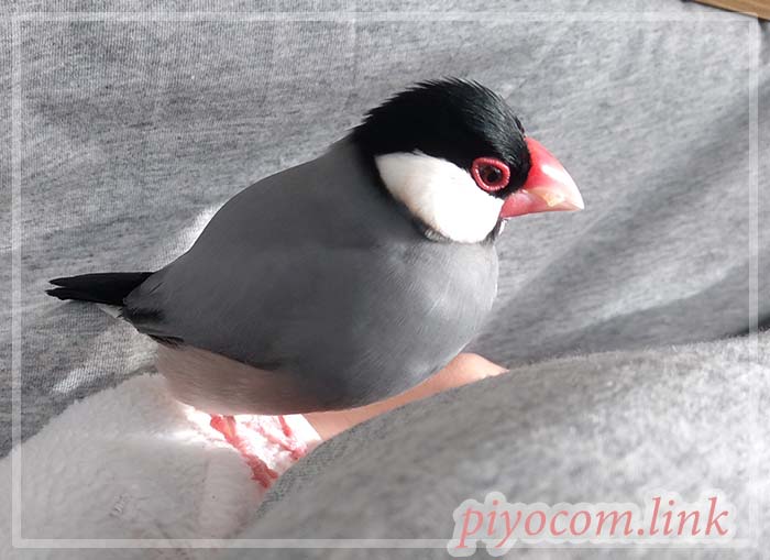 Thumbnail of post image 089