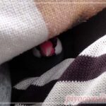 Thumbnail of new posts 128