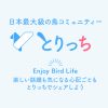 【鳥の飼い方・生活】2羽目のお迎えについて(先住:セキセイ♀)｜とりっち - インコなど